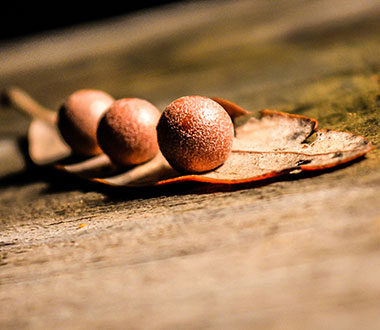 ddos攻击防御手段